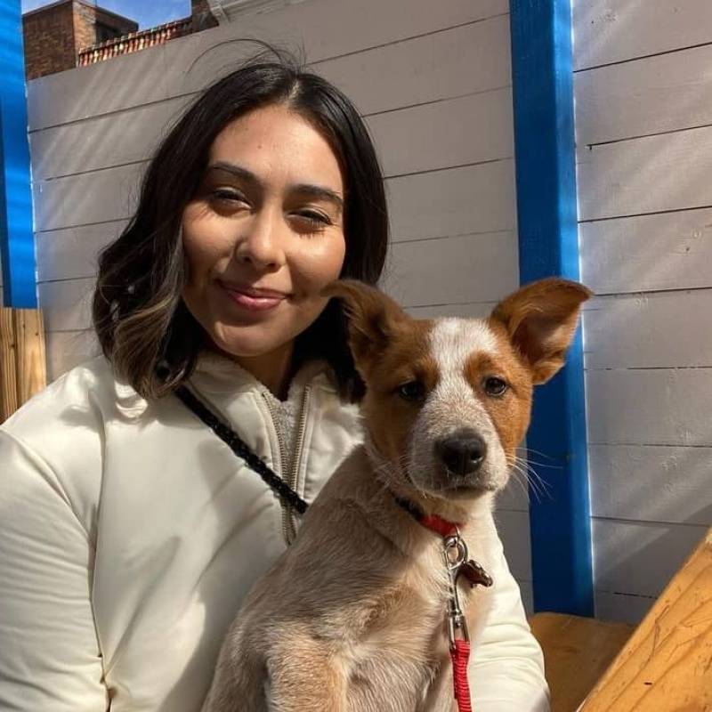 Meet helen, 31 Female from stati Uniti - Free Online Dating at BoopDate - Photo 1230