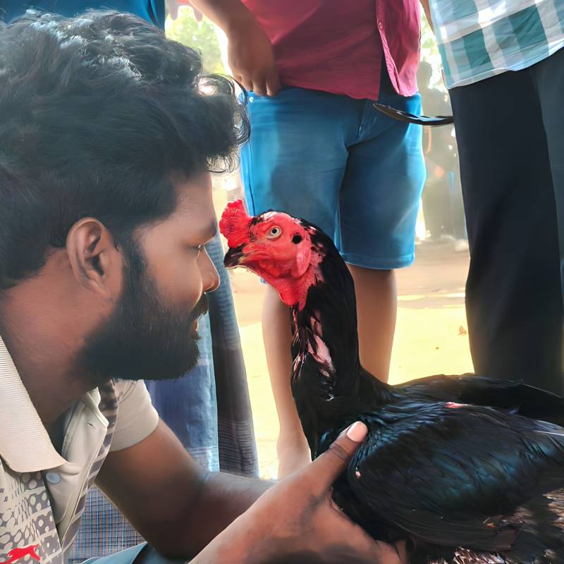 Meet Mohan, 27 Male from India - Free Online Dating at BoopDate - Photo 6828