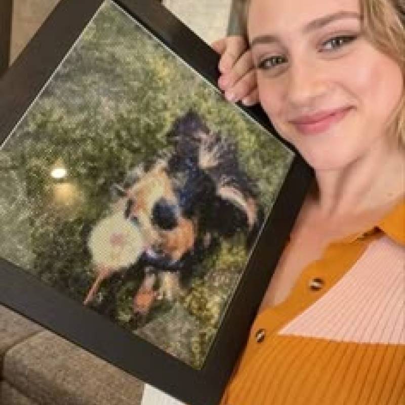 Meet Reinhart, 29 Female from Colorado, Estados Unidos - Free Online Dating at BoopDate - Photo 5966