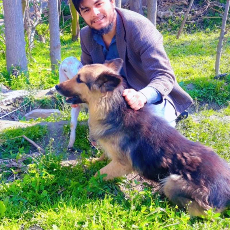 Meet Anees, 23 Male from PESHAWAR, Austria - Free Online Dating at BoopDate - Photo 6369