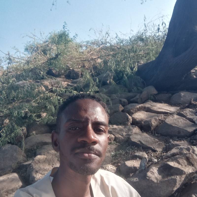 Meet Sudan, 35 Male from السودان - Free Online Dating at BoopDate - Photo 13122