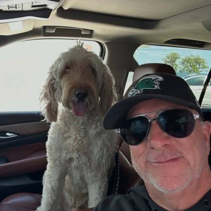 Meet Paul, 61 Male from Untied Kingdom, Birleşik Krallık - Free Online Dating at BoopDate - Photo 14622