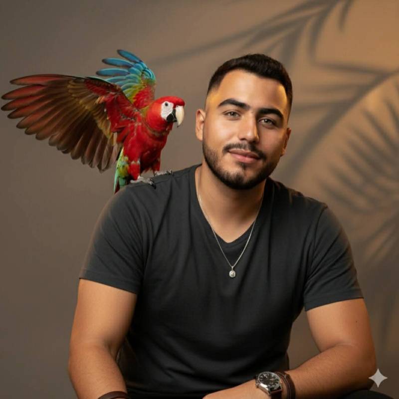 Meet Agghmad, 24 Male from Egipto - Free Online Dating at BoopDate - Photo 19149